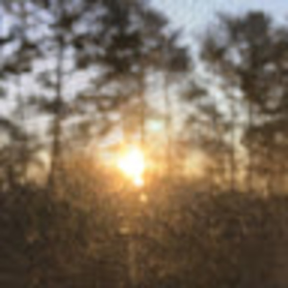 Meet your Posher, Brock - Picture 1 of 1